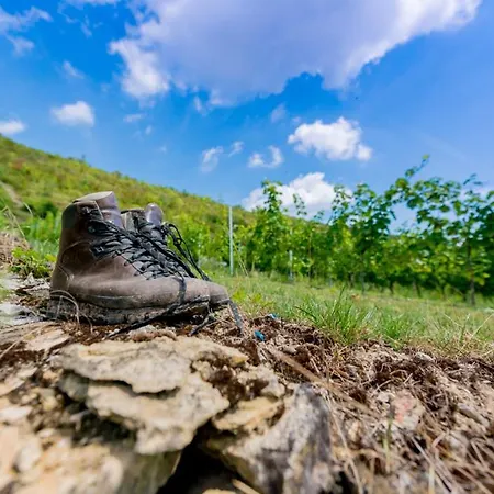 Weinquartier Weingarten Апартаменты