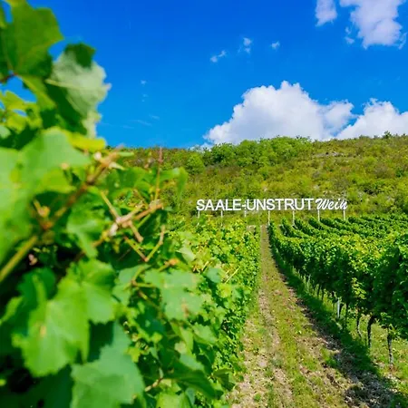 Weinquartier Weingarten * Naumburg (Saale)