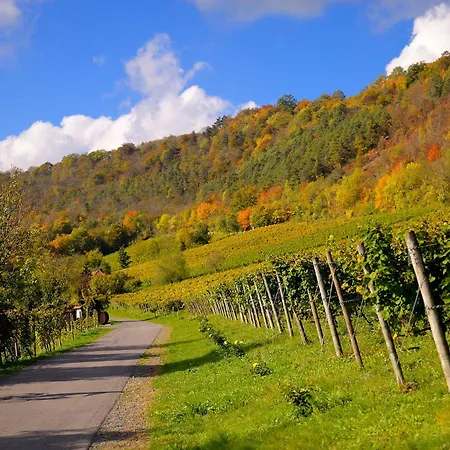 Apartment Weinquartier Naumbuurg Weingarten 2 à 1 Sz Altstadt Kaffee Parken