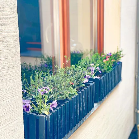 Weinquartier Naumbuurg Weingarten 2 à 1 Sz Altstadt Kaffee Parken * Naumburg (Saale)