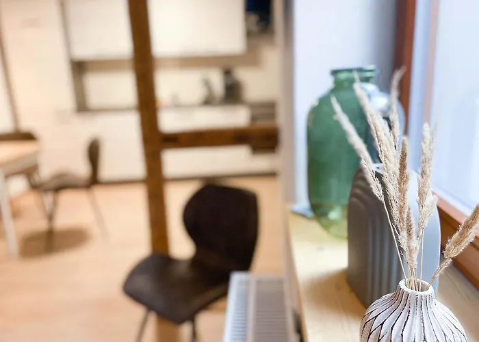 Weinquartier Weingarten 2 A 1 Sz Altstadt Terrasse Parken - Tiere Erlaubt 萨勒河畔瑙姆堡