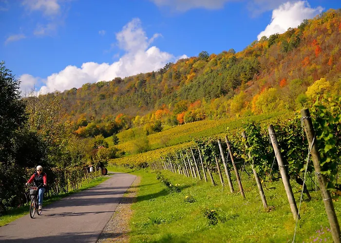 Appartamento Weinquartier Naumbuurg Weingarten 2 à 1 Sz Altstadt Kaffee Parken