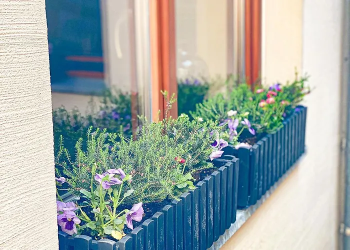 Weinquartier Naumbuurg Weingarten 2 à 1 Sz Altstadt Kaffee Parken * Naumburg (Saale)